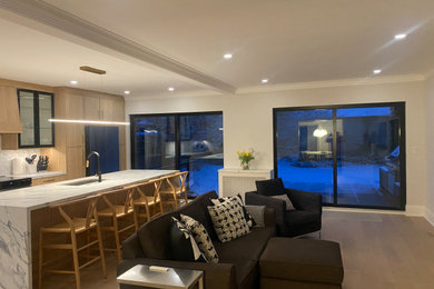 Family room - contemporary family room idea in Toronto