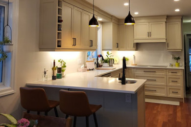 Inspiration for a kitchen remodel in Toronto