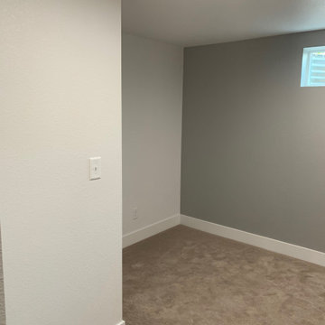 Standley Park Westminster | Basement Renovation