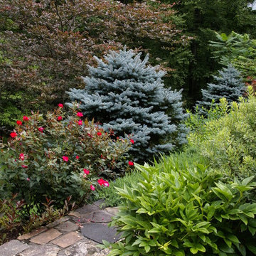 Gravel Garden Entry