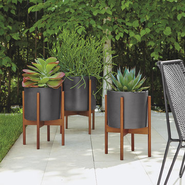 Case Study Planter with Walnut Stand