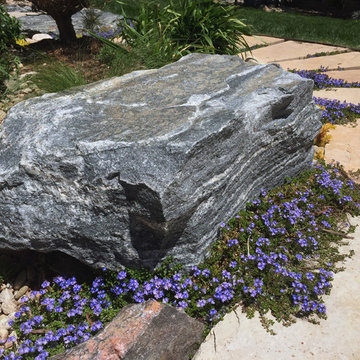 Creekside: A Naturalistic Backyard in Heritage Hills