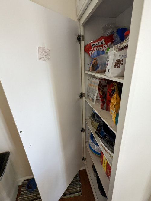 Large single door won't close