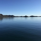 Mary Allanson's photo