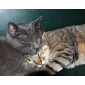 Mairead Nicholl's photo