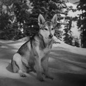 Rocco Paternoster's photo