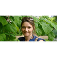 Lush Landscape & Garden Design's profile photo