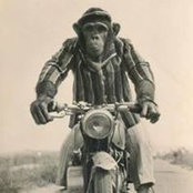 John Reynolds's photo