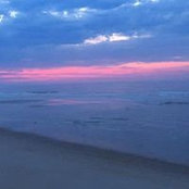 Liz Duffy's photo