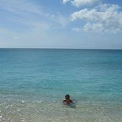 Foto von Andrea Williams