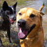Courtney Emken's photo