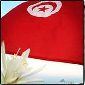 Walid Hached's photo