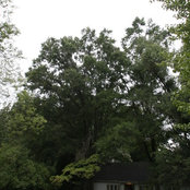 John-Debbie Robertson's photo