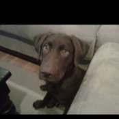 Brandon Steinhart's photo