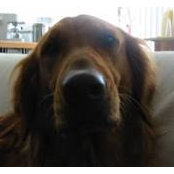 Gustavo Teran's photo