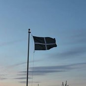 Barbara Fraumeni's photo