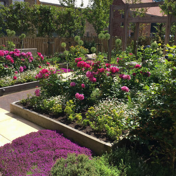 Durham Contemporary Courtyard Garden
