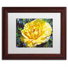 David Lloyd Glover 'Golden Rain' Framed Art, Wood Frame, 11"x14", White Matte