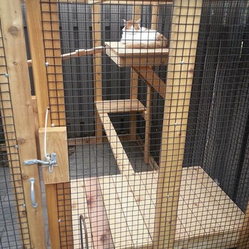 Cedar Cat Enclosure