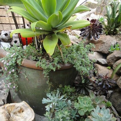 Container gardening - Products