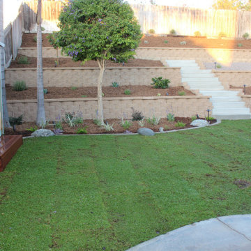 Black Mountain Ranch Terrace with Kurapia Sod