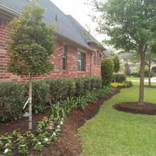 Landscape Ideas