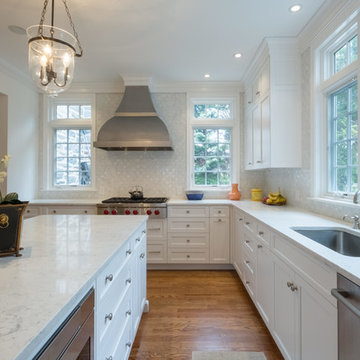 Kitchen Remodel in Bryn Mawr