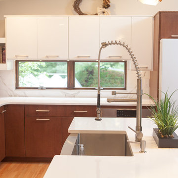 Contemporary Renovation