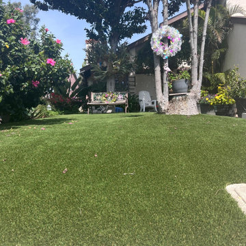 Artificial Turf
