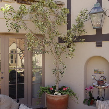 CONATAINER GARDENS BRING LIFE TO PLAIN PAITO, La Jolla, California