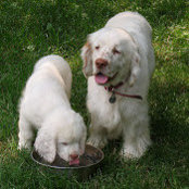 Gail Palmer's photo