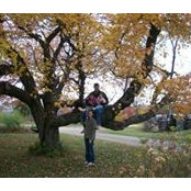 Gail Cohen's photo