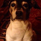 Denise Gilroy's photo