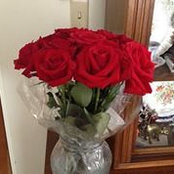 LynnLea Seabrook's photo