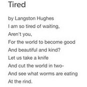 Heather Wingo's photo