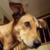 Amy Schnelle's photo