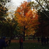 Ana Leiva's photo