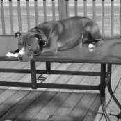 Lanny Mentallo's photo