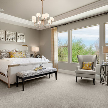 Robert model home in Arizona