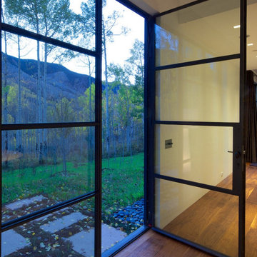 Bronze & Steel windows and doors