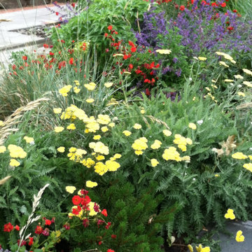 Community Service Public Gardens