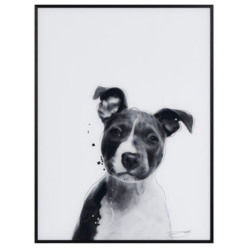 "Pitbull" Black and White Pet Art on Printed Glass Encased with Anodized Frame