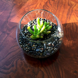 Planted decor - Home Decor