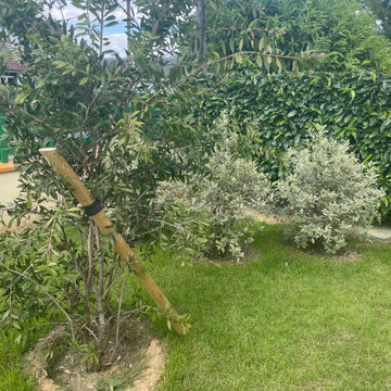 Jardin à L'Etang la Ville