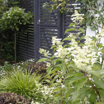 Textural courtyard