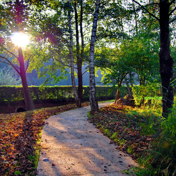 ON THE EDGE OF THE FOREST