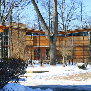 Wildewood 5
