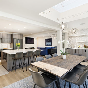 Downtown Aspen Modern - Remodel