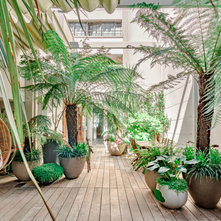 Tropical Patio by GARDEN TROTTER