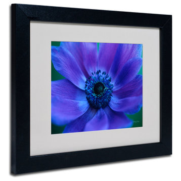 'Beautiful Anemone' Matted Framed Canvas Art by Kathy Yates